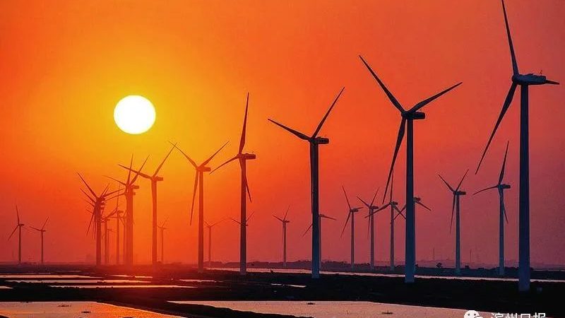 工商业光伏电站设计参数解析：揭秘区别与选型要点
